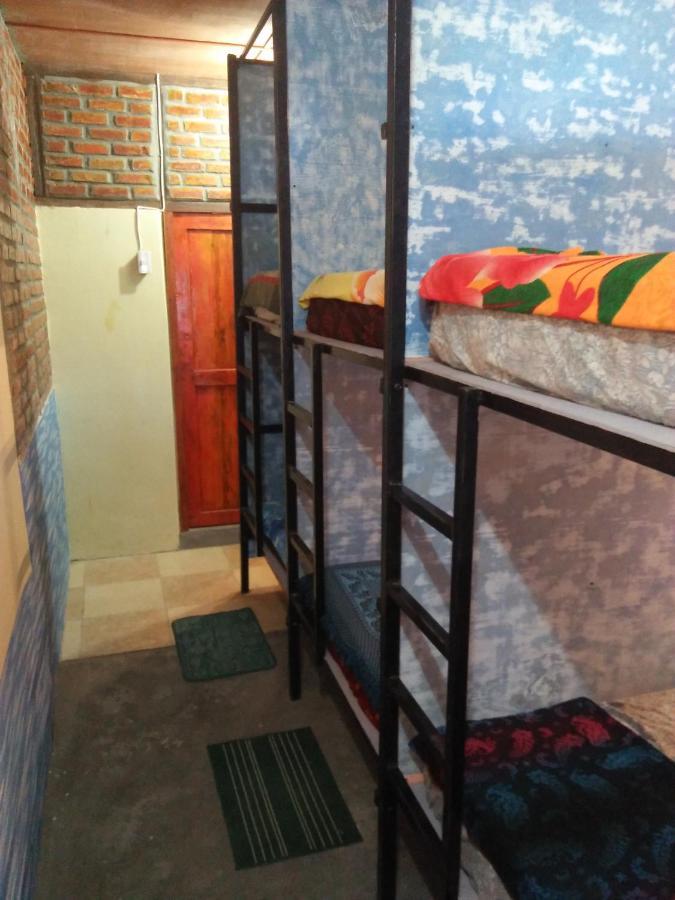 Salty Dog Hostel Telukdalem Luaran gambar
