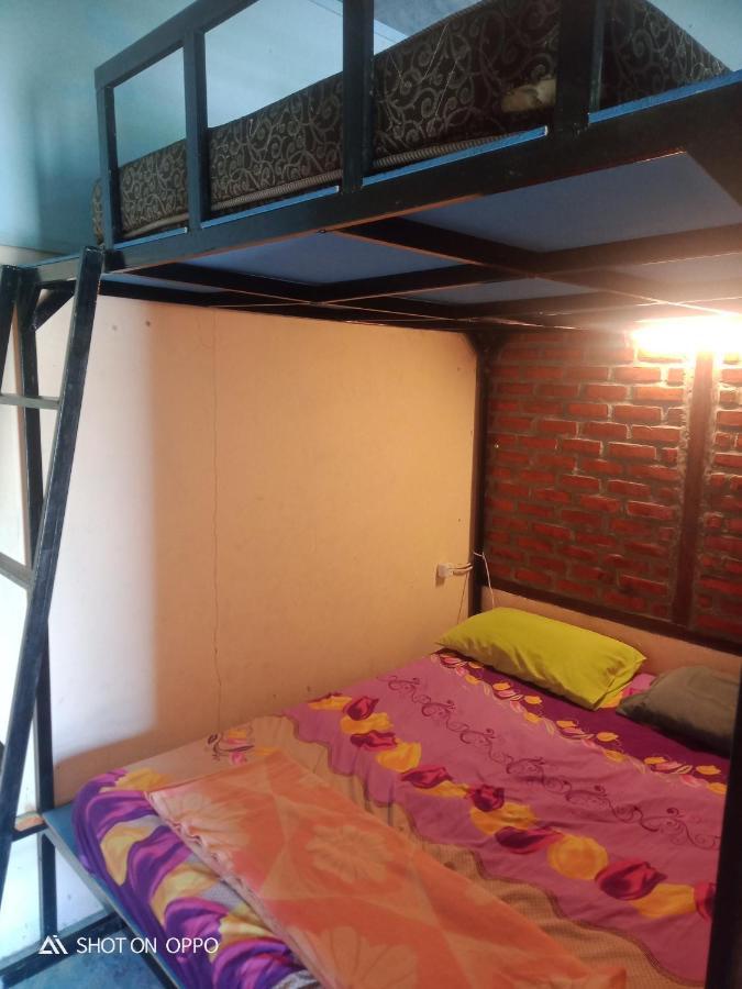 Salty Dog Hostel Telukdalem Luaran gambar